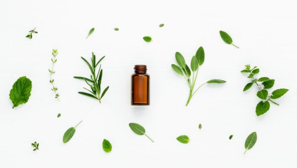 Bottle of essential oil with fresh herbal sage, rosemary, lemon on white background