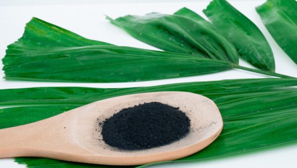 Black powder in a wooden spoon laying on green leaves