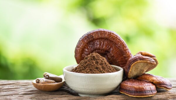 white cup of brown powder on table with reishi mushrooms and capsules to the side with a green background